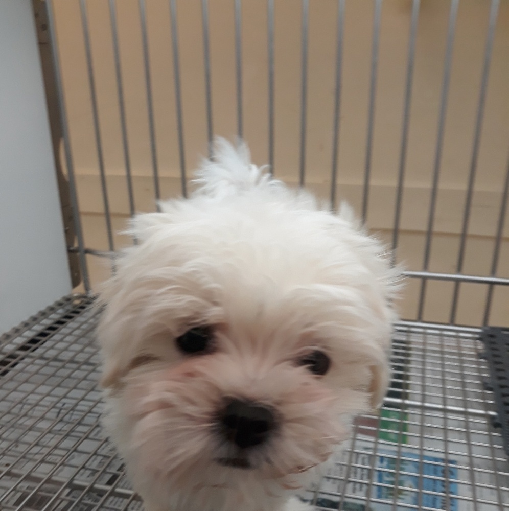 Meet your Posher, Andy